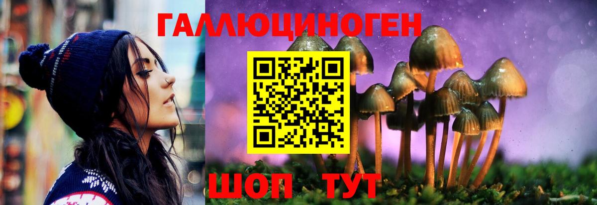 Галлюциногенные грибы мухоморы Ржев