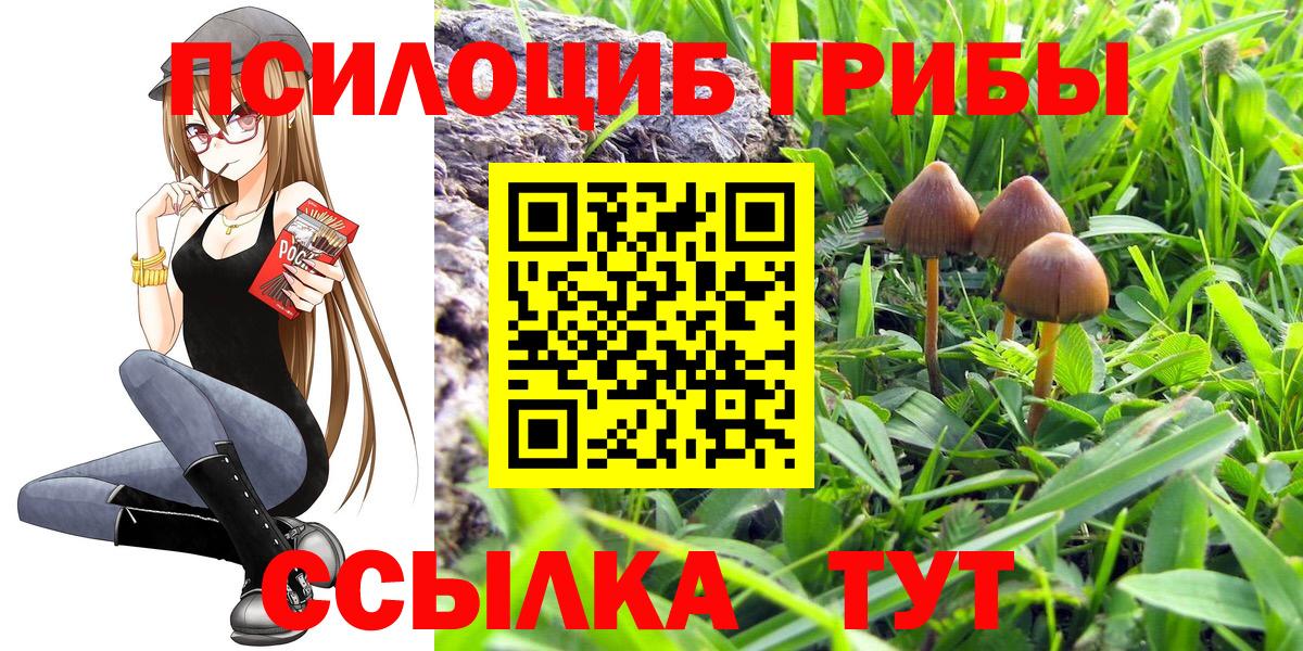 Ржев  Галлюциногенные грибы мицелий  Вход с VPN 